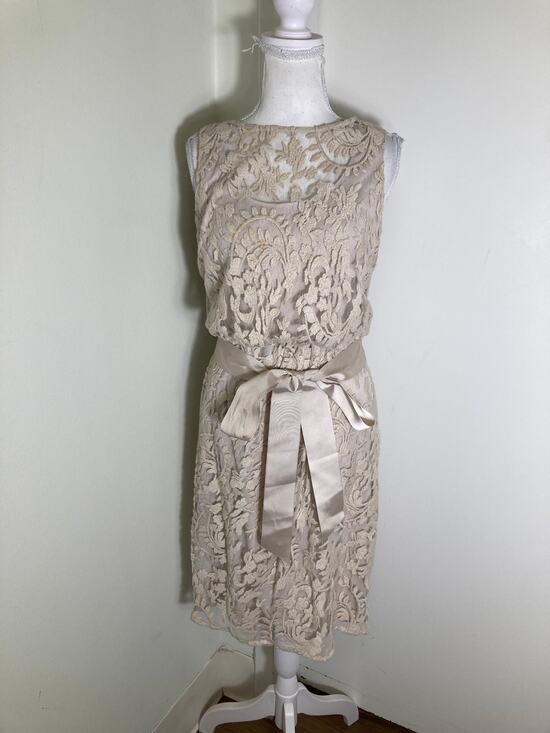 Adrianna Papell Dresses & Skirts - Adrianna Papell Bone Sleeveless Knee Length Dress with Lace Overlay Sz 6